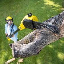 Best Tree Mulching  in Santa Clarita, CA